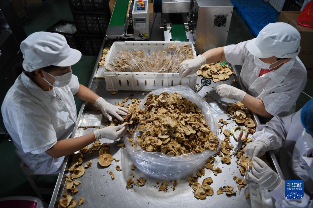永利现金玩法