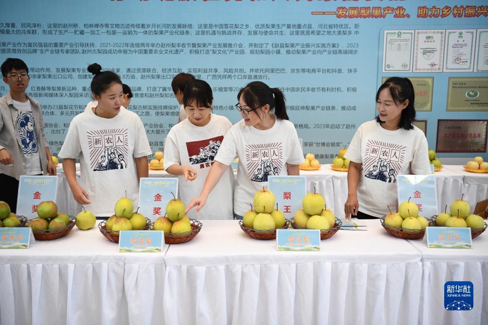宝博评级公司